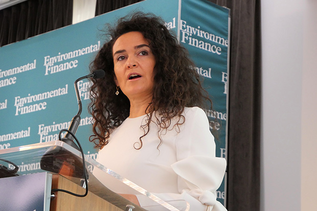 Mafalda Duarte - Climate Investment Funds