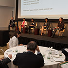 Panel: Standards, reporting and risk