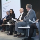 Panel: Green bond risks