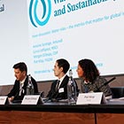 Water risks panel