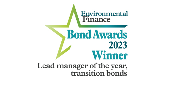 Lead manager of the year, transition bonds: Nomura