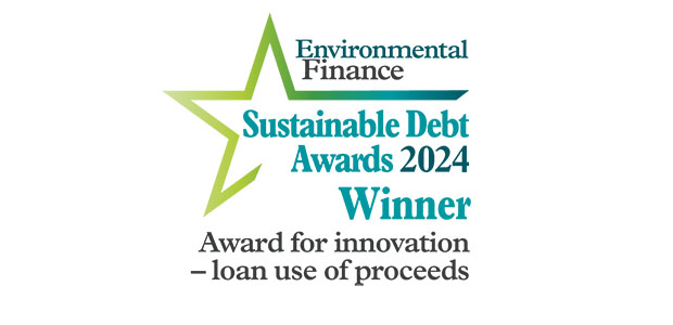 Award for innovation - loan use of proceeds: Msenge Emoyeni Wind Farm