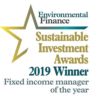 Fixed income manager of the year: Insight Investment