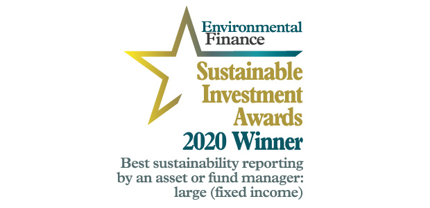 Best sustainability reporting by an asset or fund manager (large, fixed income): DWS