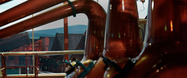 The Macallan distillery - to be heated by a biomass CHP plant (Photo: The Macallan)