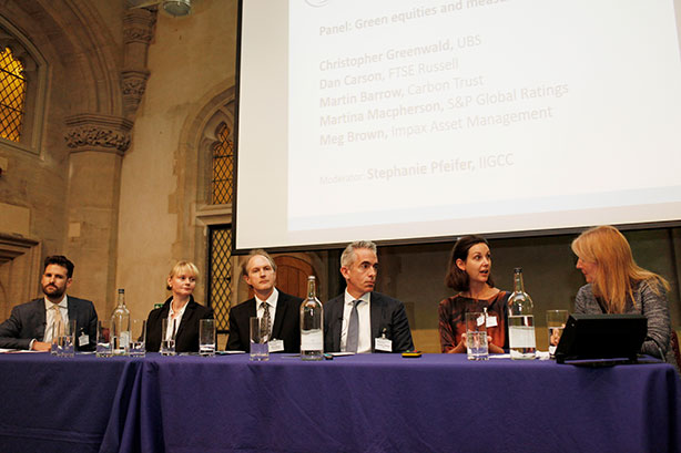 Impact panel Environmental Finance