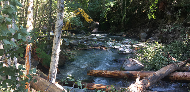 Logs being placed into streambeds in order to develop fish habitat on a tributary of the West Fork of Hood River, located on the EFM-managed Hood Uplands property. This area is being restored in partnership with the Confederated Tribes of Warm Springs, the U.S. Forest Service, the local watershed council and conservation groups.