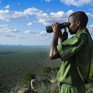 Wildlife Works ranger surveying the Kasigau Corridor REDD+ Project. Image: Wildlife Works/Lisa Kristine